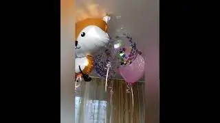 Даша днюшка