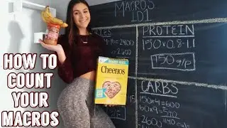 HOW TO CALCULATE YOUR MACROS | MACROS 101