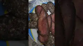 БАСТУРМА ДОМА!