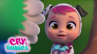 Programmi Estivi | CRY BABIES 💧 MAGIC TEARS 💕 CARTONI ANIMATI per BAMBINI
