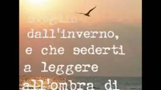 Il gabbiano Jonathan Livingston - Richard Bach