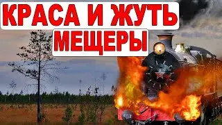 Сгоревшая заброшка. Тайны Мещеры. Пеший одиночный поход в лес. УЖД. Заброшенные деревни