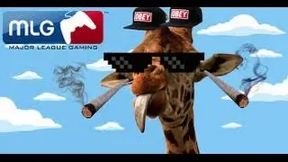 Remix de Animals MLG remix mdr