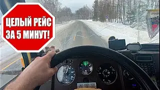РЕЙС ГЛАЗАМИ ДАЛЬНОБОЙЩИКА!ПЕРЕВОЗКА ЦЕННОГО ЖИВОГО ГРУЗА!