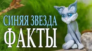 История Синей Звезды. Интересные факты о ней. КОТЫ ВОИТЕЛИ.