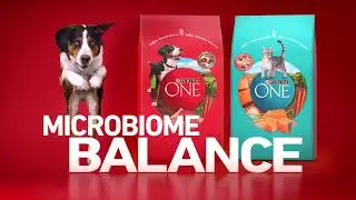 Purina ONE with Microbiome Balance