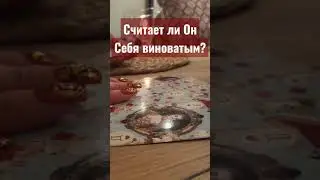 Есть ли у него совесть к вам  #никкиами