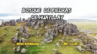 EXPLORANDO EL BOSQUE DE PIEDRAS DE HUAYLLAY- CERRO DE PASCO ¿COMO LLEGAR?