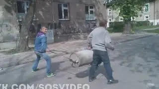Поляки готовы к войне!