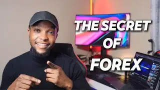 THE SECRET OF BEING SUCCESSFUL IN FOREX TRADING