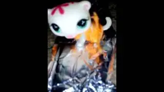 Показ мод LPS