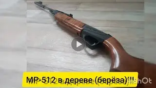 Обзор редкой МР-512 в дереве