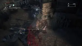 Bloodborn что происходит?