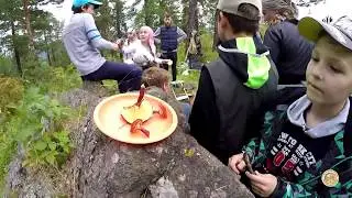 Синяя гора.Пос.Баранчинский.ОДМ-2017г.