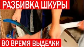Отбивка шкуры. Обезжиривание шкуры.Выделка шкур
