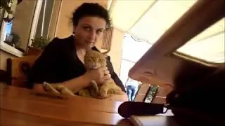 Польша .День независимости.