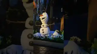seeing the frozen olaf and elsa sister singing #hongkongdisneyland