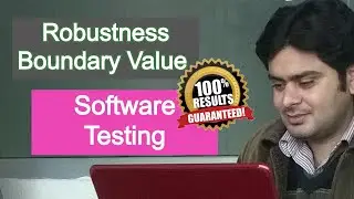 Robustness testing in black box software testing