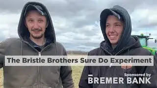 The Bristle Brothers Sure Do Experiment