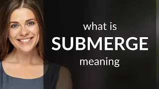 Submerge • definition of SUBMERGE