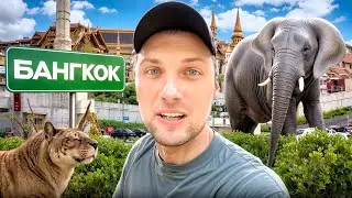 УГАР ИЗ ЖИЗНИ #77 | ПРИЛЕТЕЛИ В БАГКОК✈️
