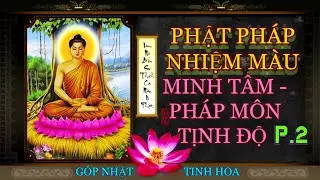 Phần 2 - Soi Sáng Minh Tâm - Pháp Môn Tịnh Độ - Thầy Thích Giác Thông 2020 Hành Trình Về Cõi Phật