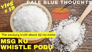 Is MSG or Ajinomoto harmful to consume ? | Pale Blue Thoughts