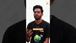 From Student to Mentor: The Smart Interviews Transformation
