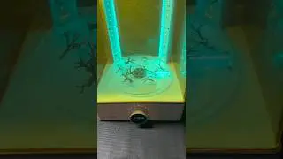 3d printed trees 