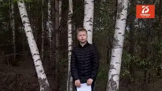 Фокин Руслан 3 класс