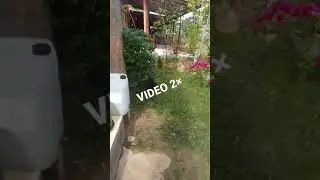 Video 2× Kecepatan Dari Pada Slow | #shorts