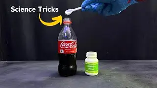 3 Science Easy Experiment for School | Simple Science