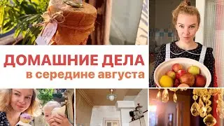 СПОКОЙНЫЙ БЫТ В АВГУСТЕ⭐️ ремонт на кухне, готовлю яблочное повидло, моя вечерняя уборка, прогулка