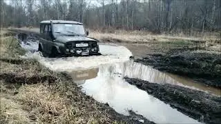 Лес весна 22