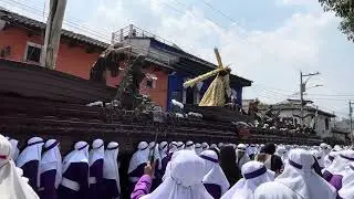 Sudor de Sangre - Procesión de Jesús de la Merced, Domingo de Ramos 2024