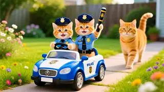 Live 🔴Mama Cat And Kitten ✨Funny Cat | Kucing 🌻 Cat Videos 😿 Cute Cat | Meow Meow