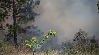 Queimada em Ibiuna, São Paulo - Le Village 1        #queimadas