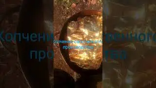 12 октября 2023 г.