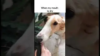 When for 3 seconds stole |#memes | #funny |