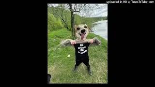 feofilov - bimbimbam (слив трека)