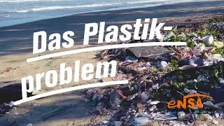 Eine Welt - kurz erklärt: Das Plastikproblem