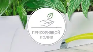 Прикорневой полив