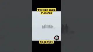 #невскийрыболов