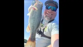 Ross Lake Killin It Sept 2023! Caught a tank! 17 fish total!