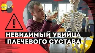 ПЛЕЧЕВОЙ СУСТАВ БУДЕТ ТЕБЕ БЛАГОДАРЕН | АНАТОМИЯ | ТЕСТИРОВАНИЕ | ПАЛЬПАЦИЯ | SPINO:DEL