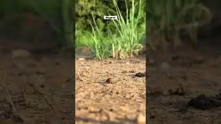 🤫