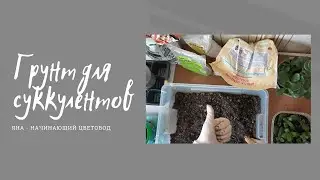 Грунт для суккулентов| Грунт для денежного дерева