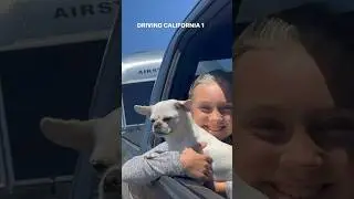 Airstreaming California 1 was not what we expected￼… #shorts #airstream #roadtrip #familyroadtrip