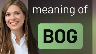Bog | meaning of BOG