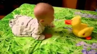 Утка поёт-малыш подтанцовывает♡